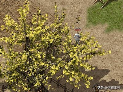 4月28日盛趣《热血传奇怀旧版》公测strong/p
p最新传奇手游/strong，我就想问为啥不开手游？