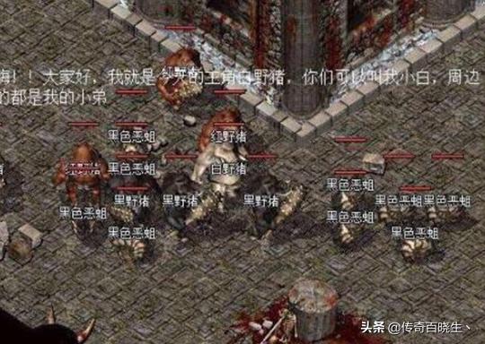 热血传奇：复古版本中哪个地图是最喜好去的strong/p
p人气更高的复古传奇手游/strong，为什么？