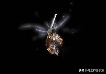 在《热血传奇》中开无邪的是兵士最凶猛的兵器吗strong/p
p传奇手机版游戏/strong？