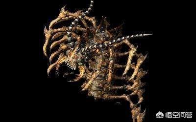 《热血传奇》有哪些BOSS能爆屠龙strong/p
p手游传奇爆率排行榜/strong？