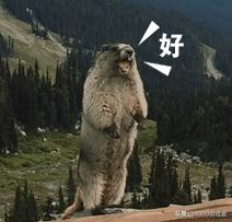 剑与远征：1月8号正式上线strong/p
p今日新开传奇手机游戏新开手游/strong，续写昔时的刀塔传奇