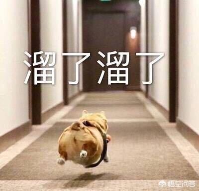 浩大《传奇世界》6年之后又出新职业strong/p
p手机传奇游戏下载/strong，若何为那款老游戏续命？