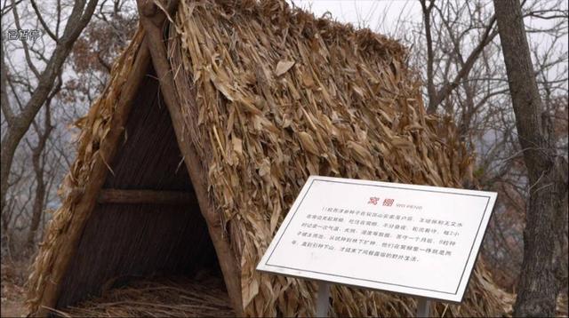 出彩山东人｜“参”入骨髓strong/p
p御龙传奇手游攻略/strong，一人引领万余乡亲干出百亿财产