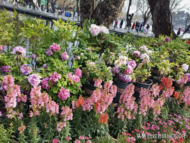 有没有什么下班后能够做的靠谱兼职strong/p
p传奇手游收受接管元宝/strong？