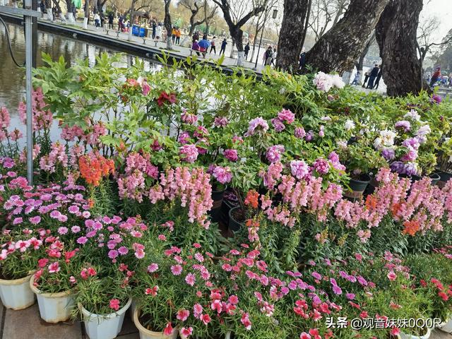 有没有什么下班后能够做的靠谱兼职strong/p
p传奇手游收受接管元宝/strong？