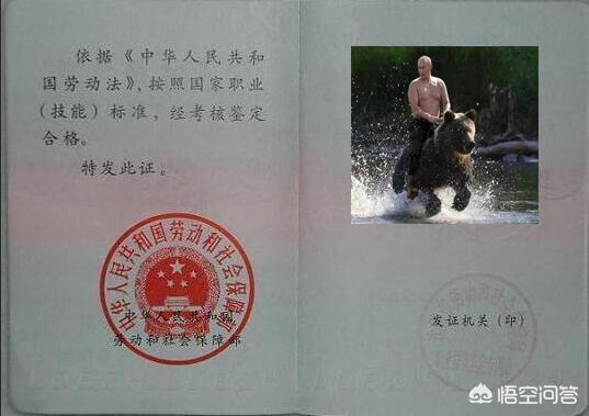 摄影喜好者如何走向职业摄影师strong/p
p超变单职业/strong？