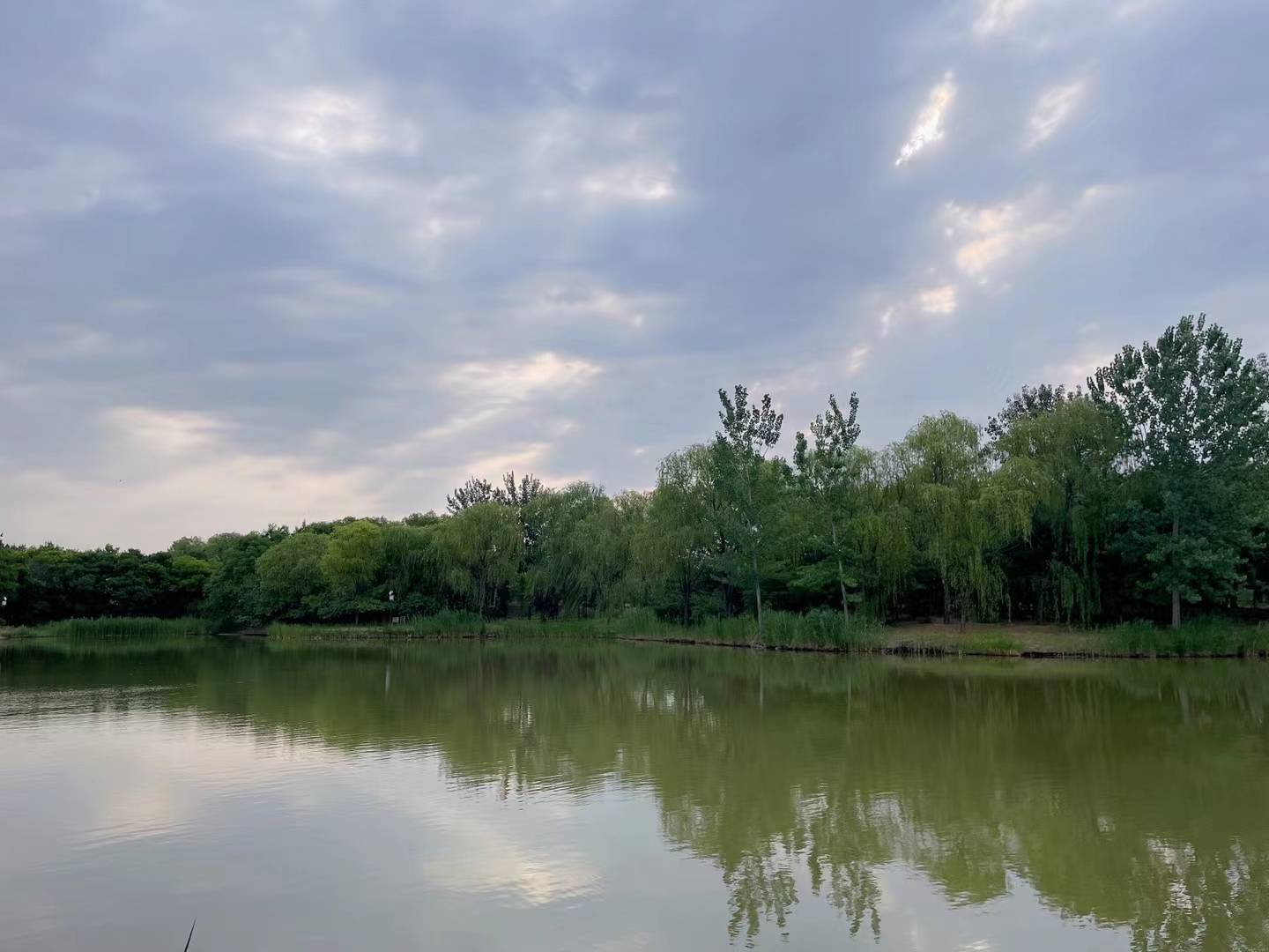 传奇三手游:《晨跑有悟：人生三手：本手、好手和俗手》