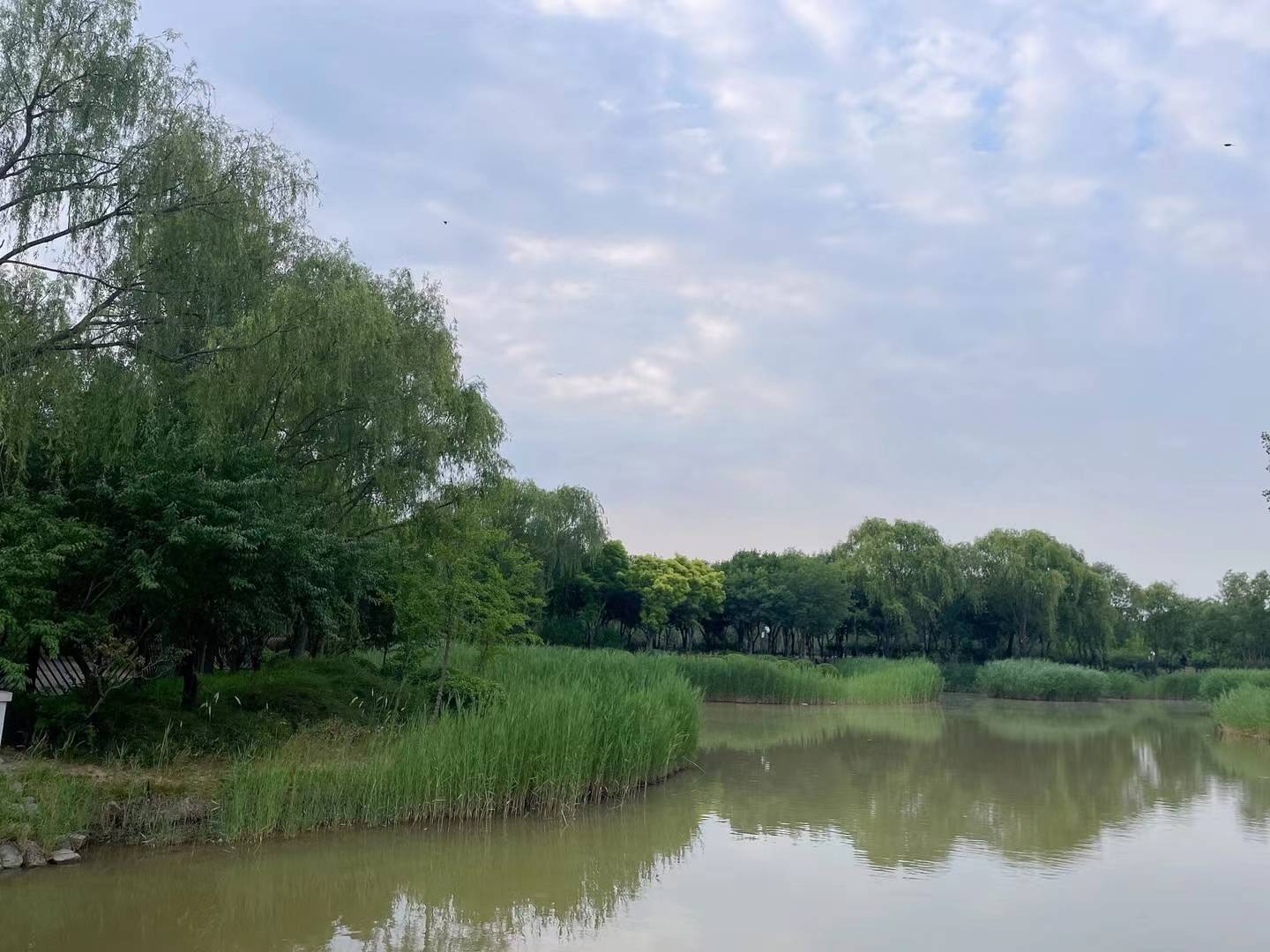 传奇三手游:《晨跑有悟：人生三手：本手、好手和俗手》