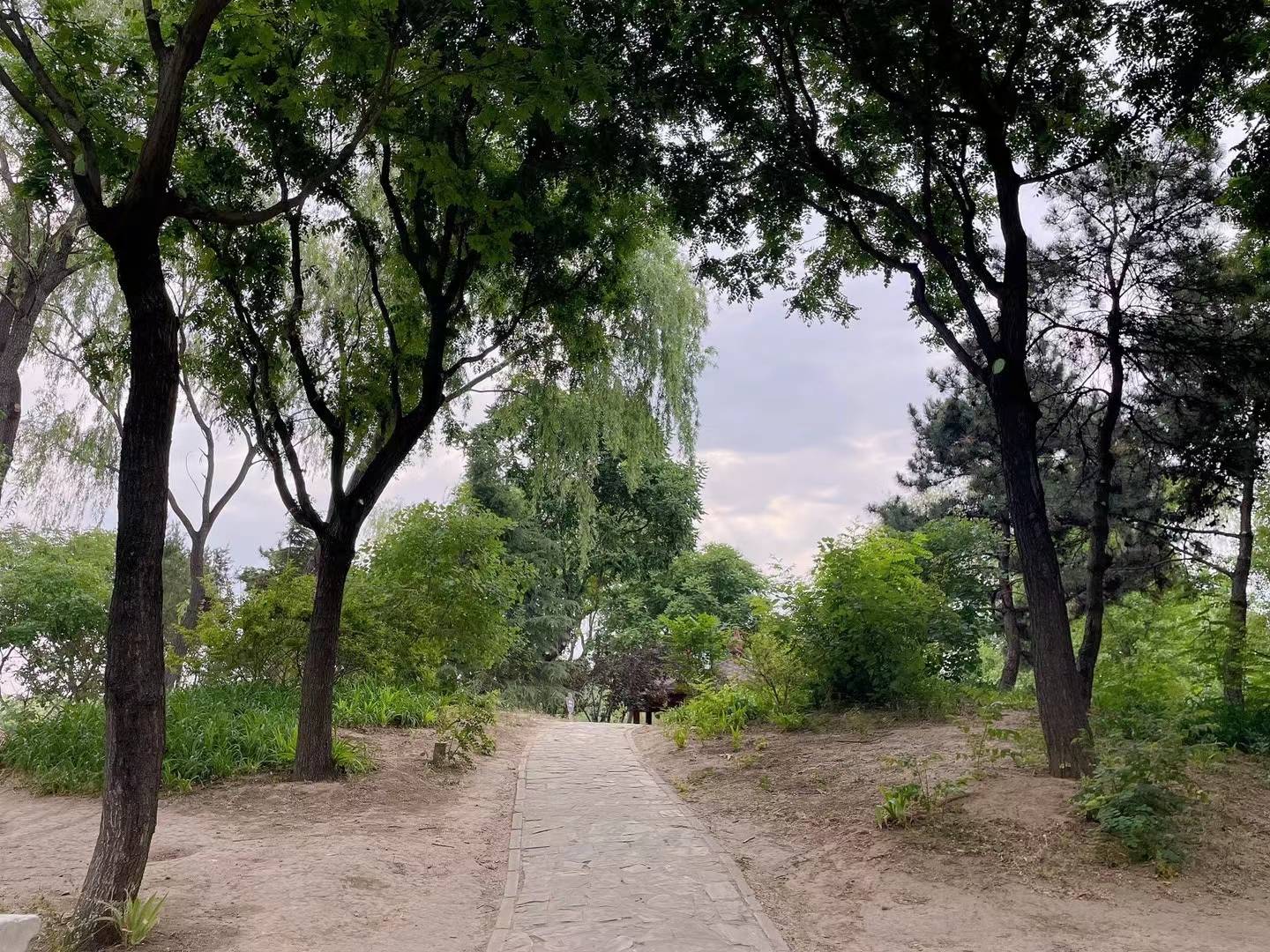 传奇三手游:《晨跑有悟：人生三手：本手、好手和俗手》