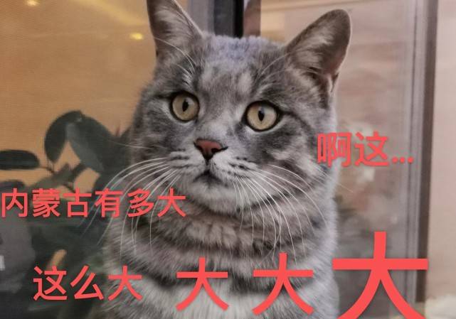 反常传奇手游破解版:草原文化节指南（破解版）