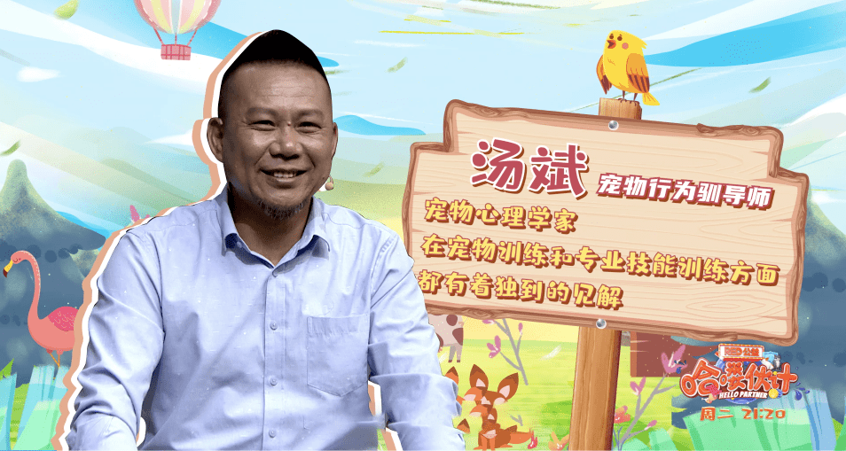 神途传奇:【第五十期预告】边牧界的传奇——神犬“刀疤”