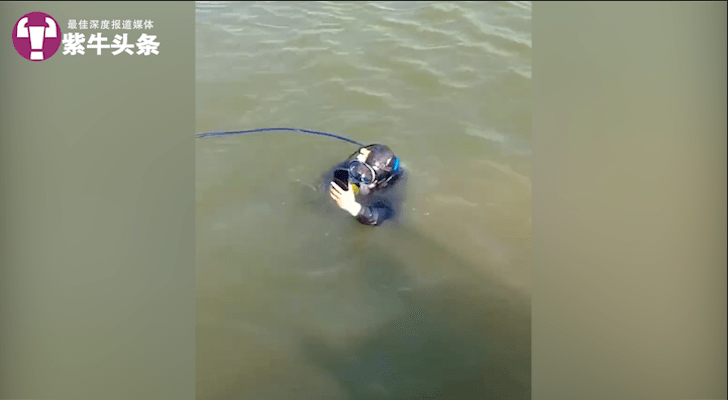 单职业:【紫牛头条】在西湖捞手机收1500元被量疑strong/p
p单职业/strong，职业打捞员：正规平台接单，代价筹议好