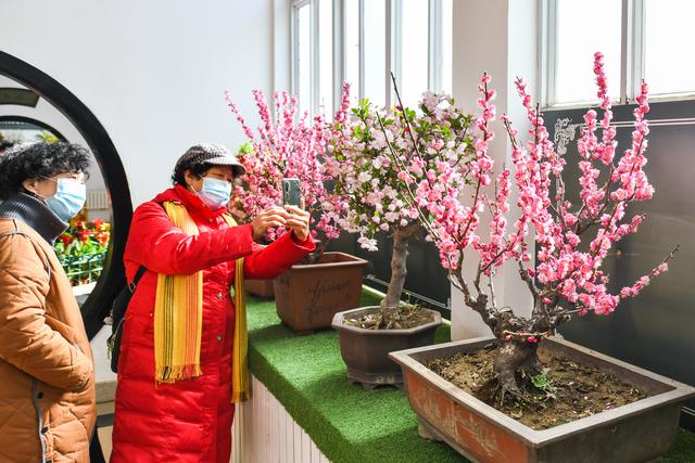 轩辕传奇手游开服表