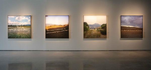 新开区传奇世界手游网