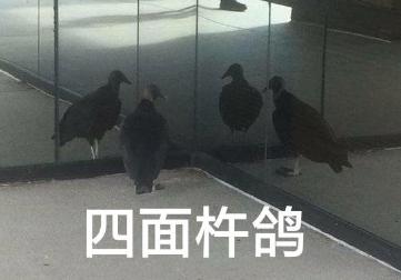 最接近传奇的手游