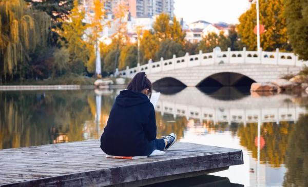 玉兔传奇二合一手游版