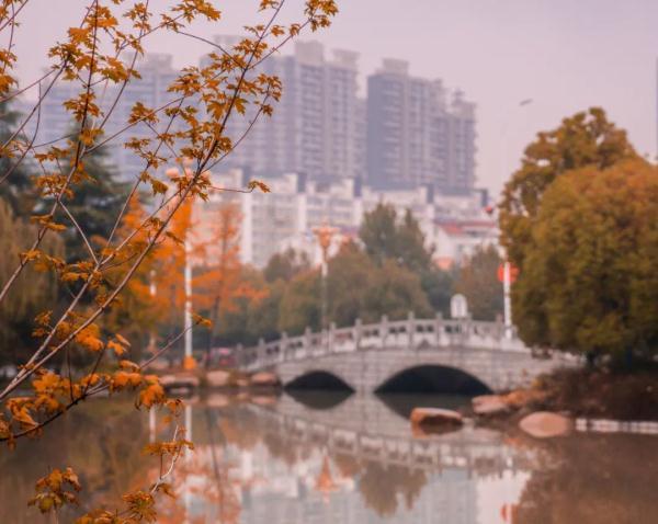 玉兔传奇二合一手游版