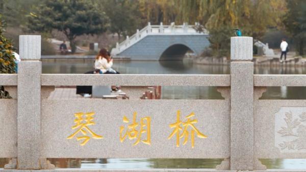 玉兔传奇二合一手游版