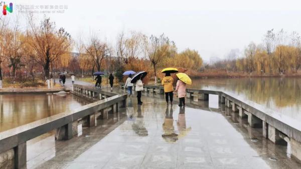 玉兔传奇二合一手游版