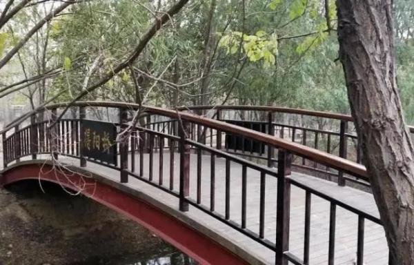 玉兔传奇二合一手游版