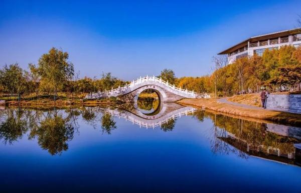 玉兔传奇二合一手游版