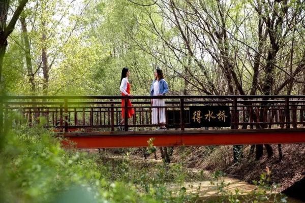 玉兔传奇二合一手游版