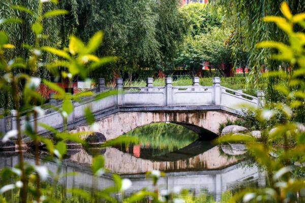 玉兔传奇二合一手游版