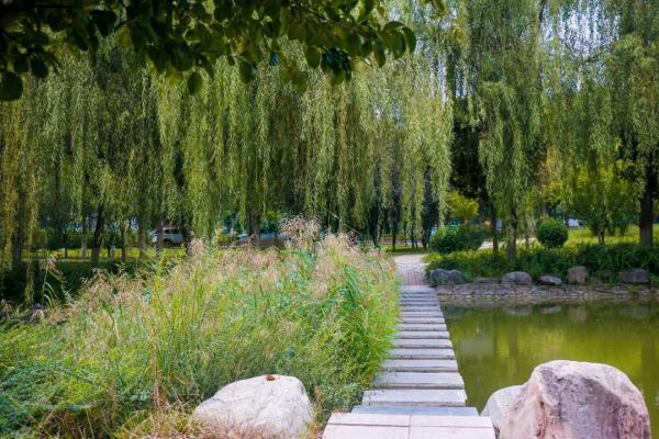 玉兔传奇二合一手游版