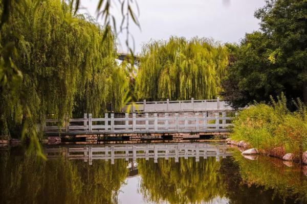 玉兔传奇二合一手游版