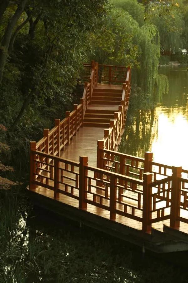 玉兔传奇二合一手游版