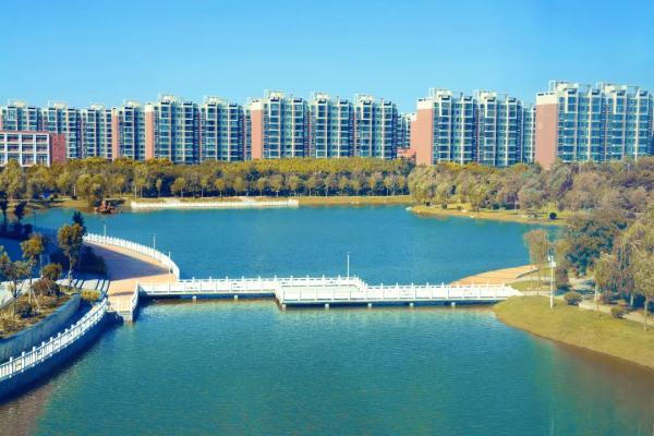 玉兔传奇二合一手游版