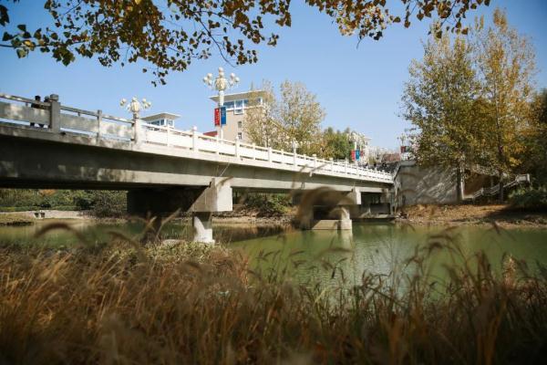 玉兔传奇二合一手游版