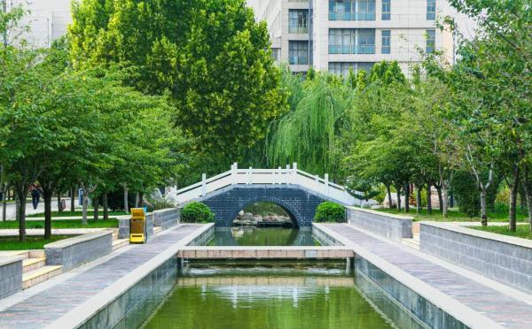 玉兔传奇二合一手游版