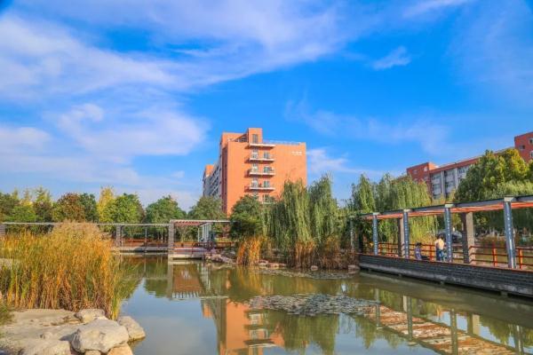 玉兔传奇二合一手游版