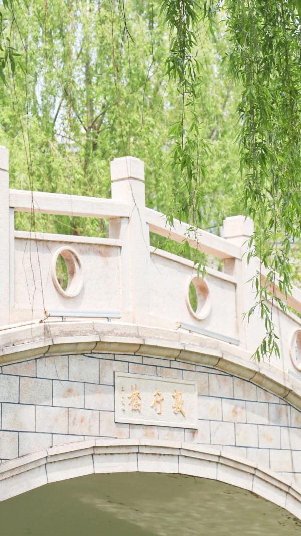 玉兔传奇二合一手游版