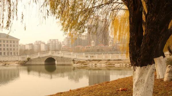 玉兔传奇二合一手游版