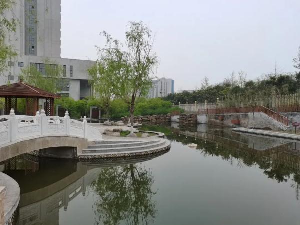 玉兔传奇二合一手游版