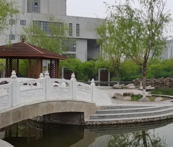 玉兔传奇二合一手游版