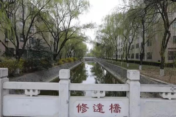 玉兔传奇二合一手游版