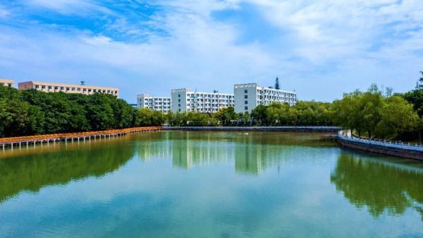 玉兔传奇二合一手游版