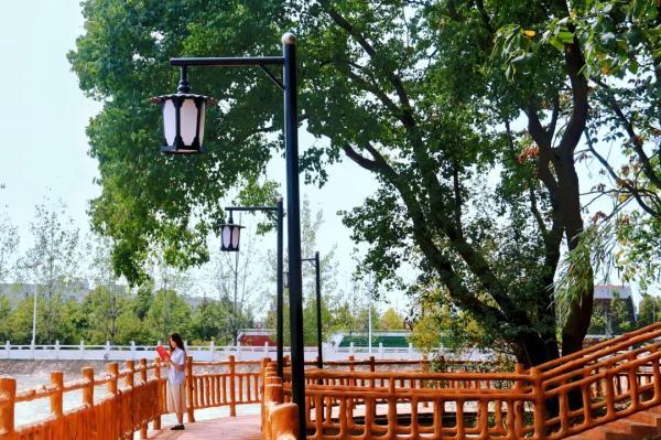 玉兔传奇二合一手游版