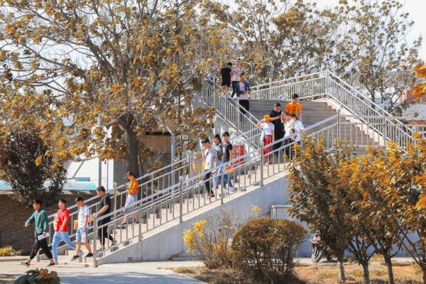 玉兔传奇二合一手游版