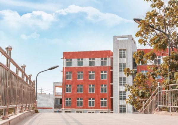 玉兔传奇二合一手游版