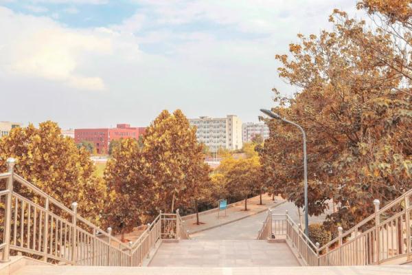 玉兔传奇二合一手游版