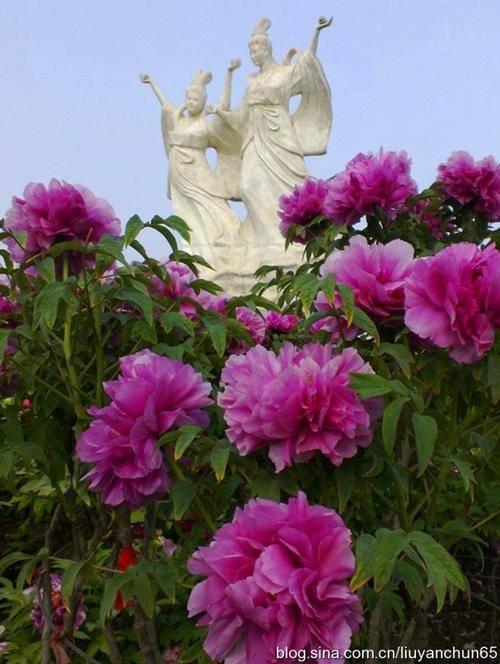 仙境打金传奇手游辅助