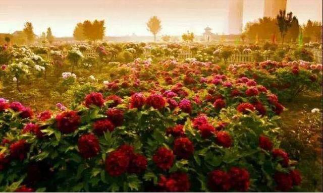 仙境打金传奇手游辅助