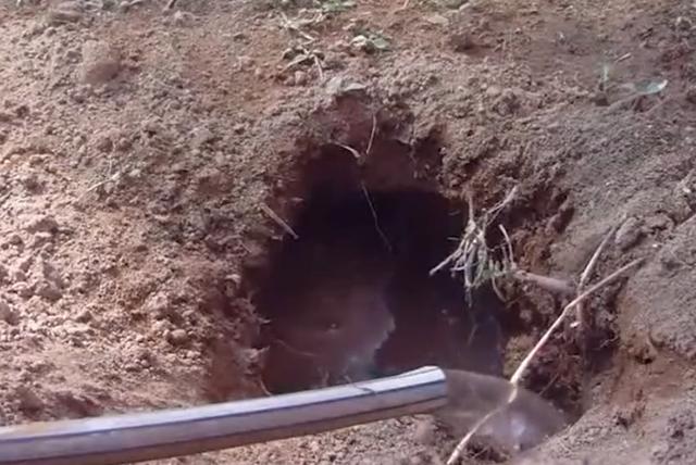 手游皓月传奇下载