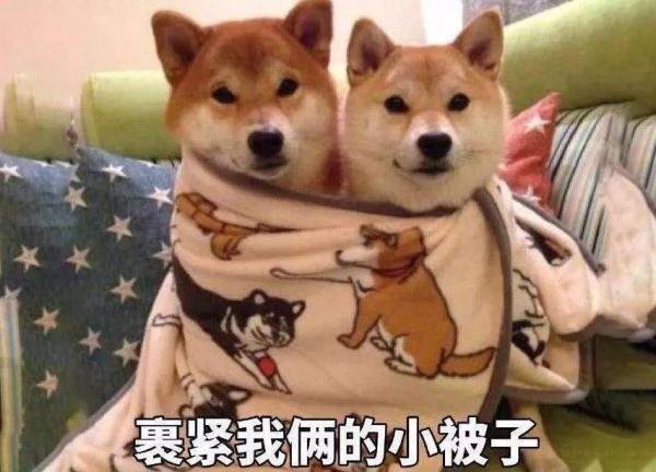 185雷霆三合一传奇手游