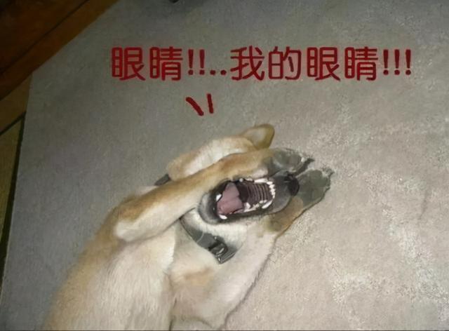 手游传奇开挂神器下载