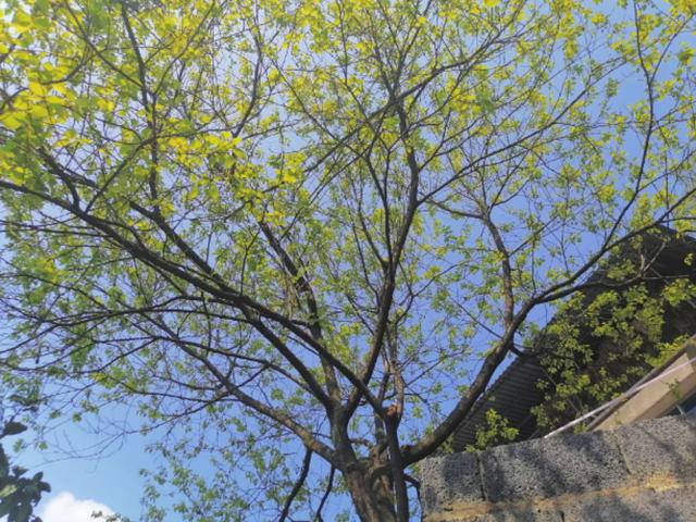 九百打金传奇手游